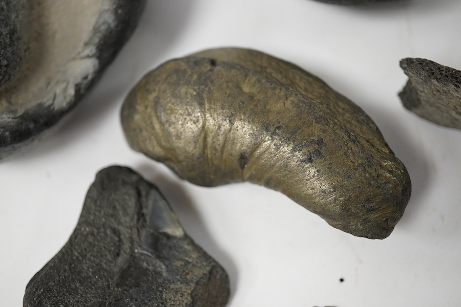 Five fossilised whale ear drums, largest 9cm long. Condition - mostly fair to good, one with small break